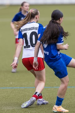 Bild 378 - wBJ Hamburger SV - FC Suederelbe : Ergebnis: 9:0